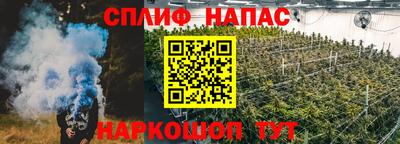 дмт Камышлов